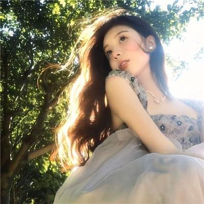 美国风情画续集